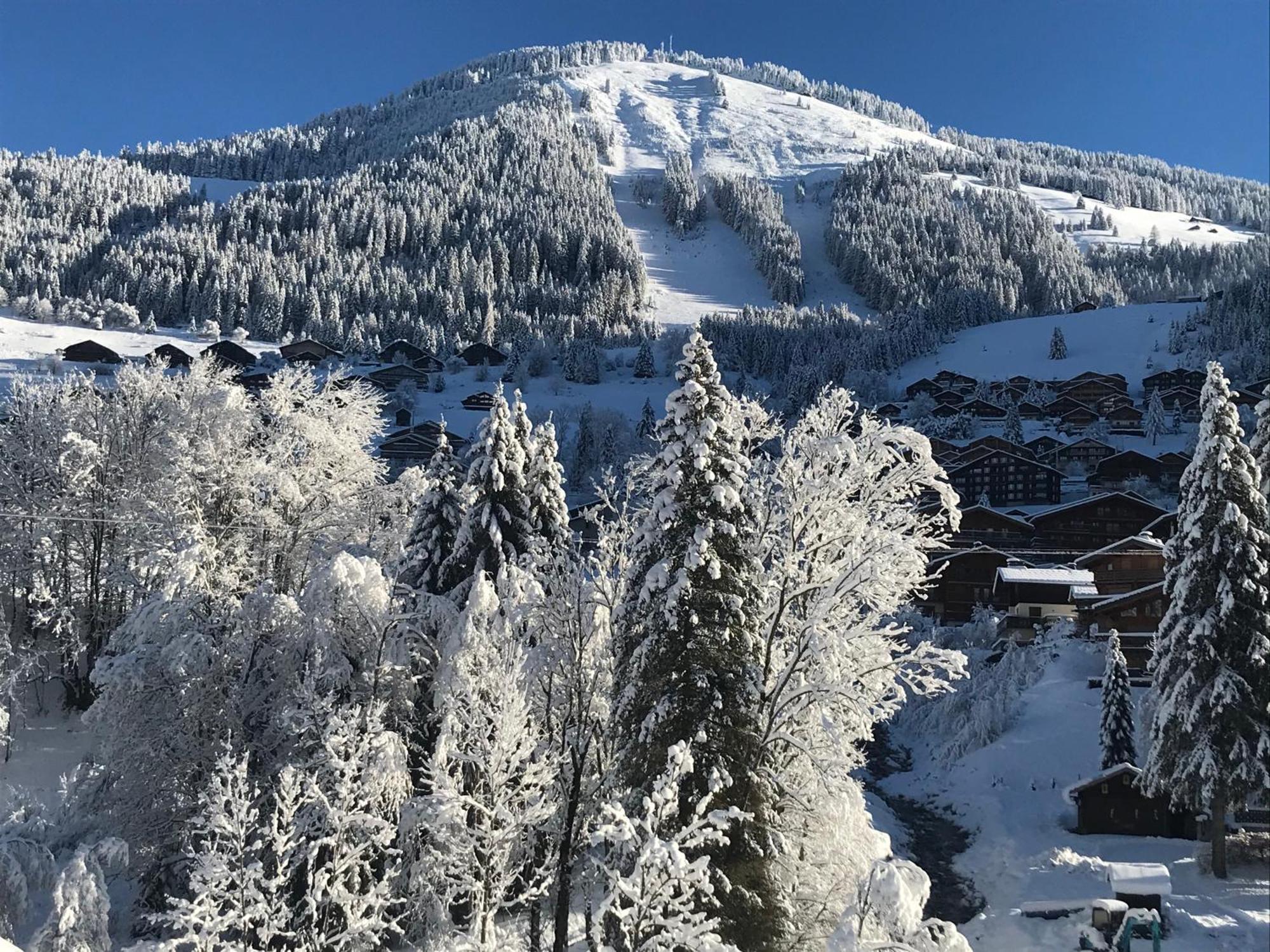 Au Bois De Lune Chatel Bagian luar foto