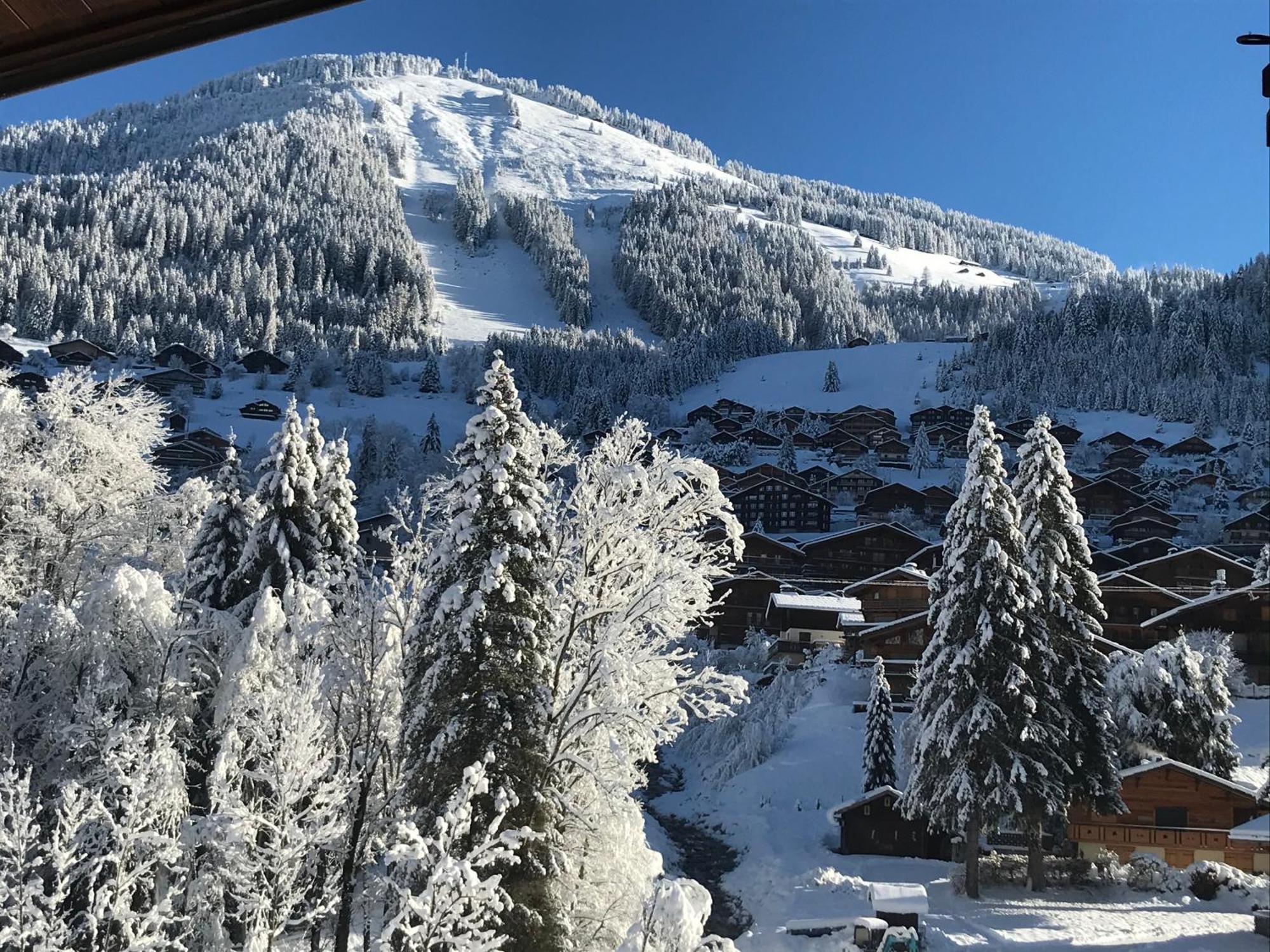 Au Bois De Lune Chatel Bagian luar foto