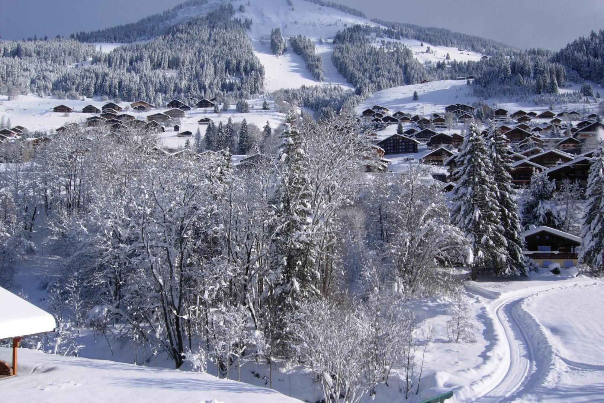 Au Bois De Lune Chatel Bagian luar foto