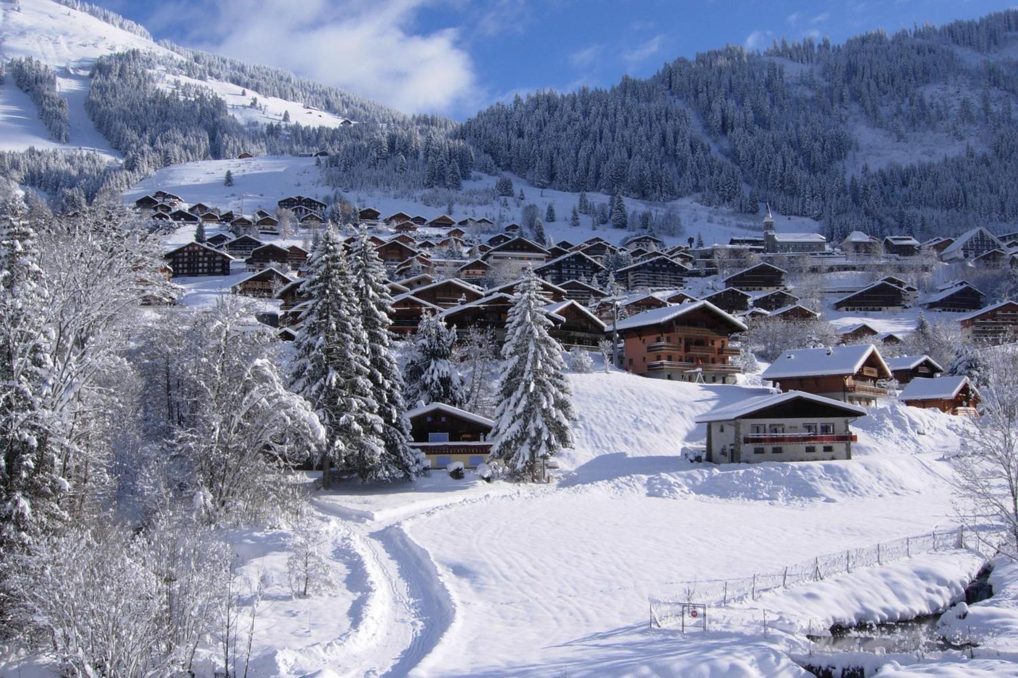 Au Bois De Lune Chatel Bagian luar foto