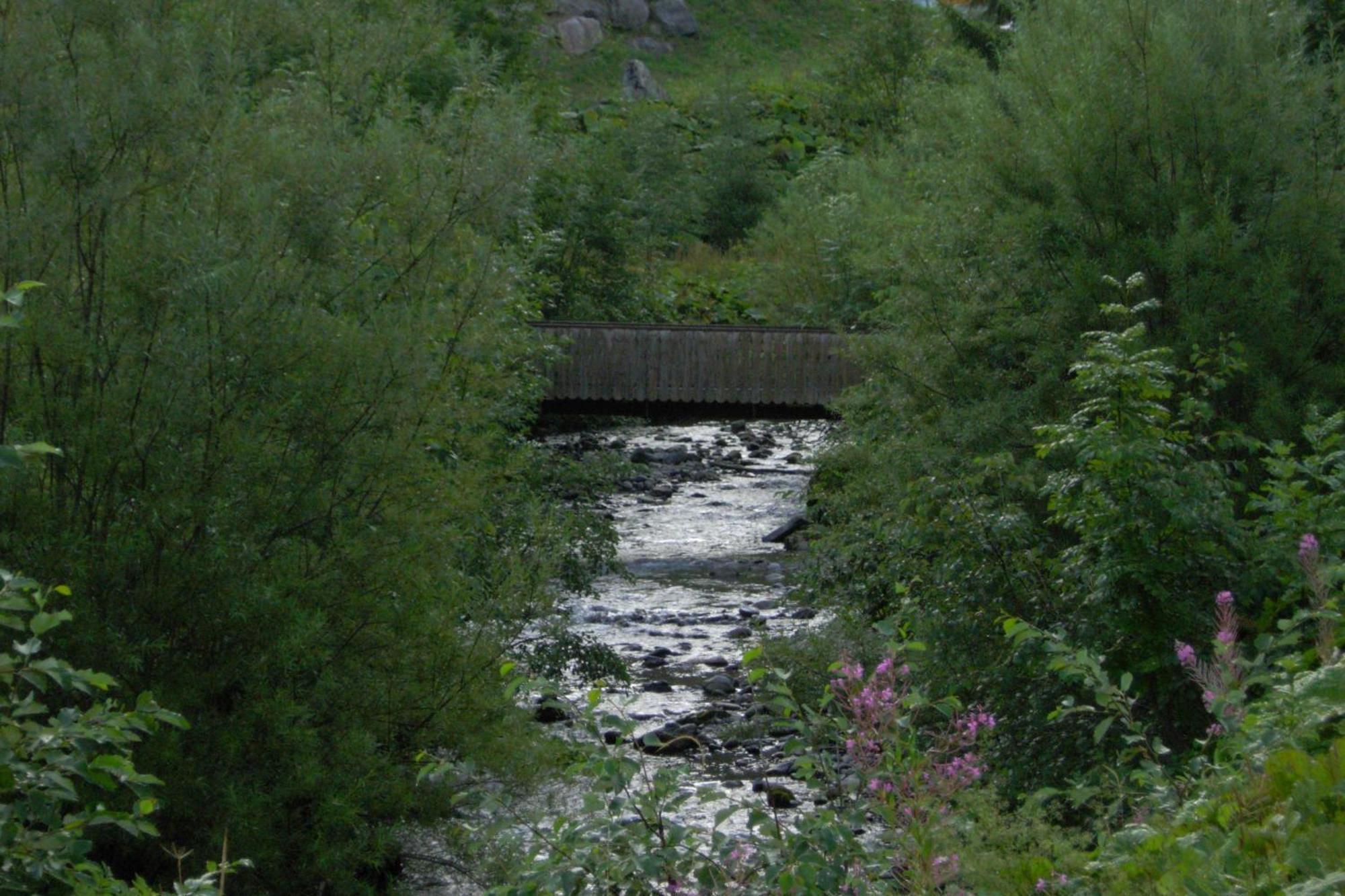 Au Bois De Lune Chatel Bagian luar foto