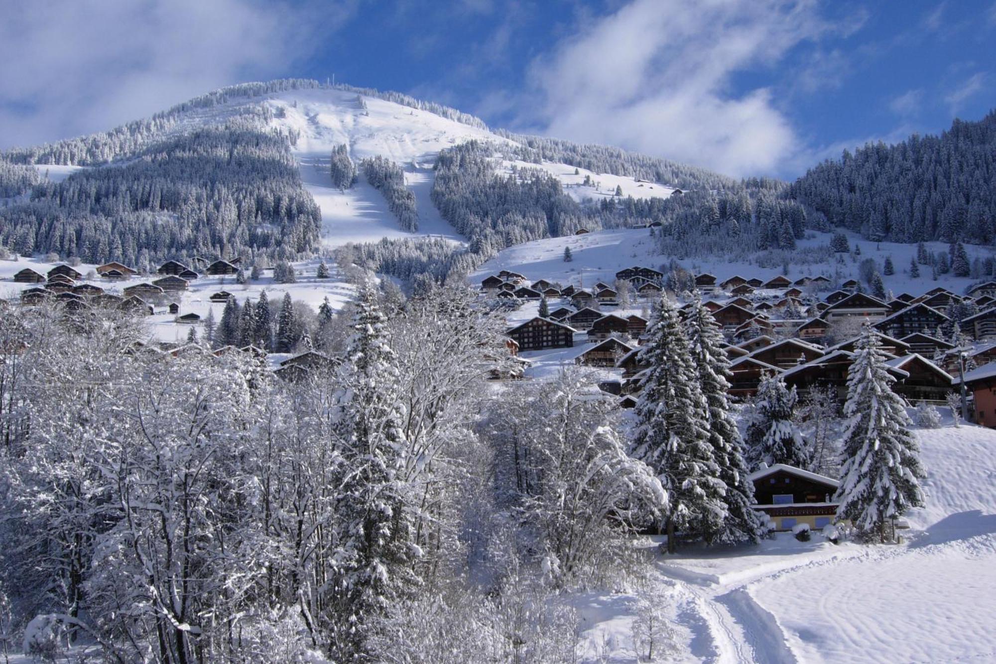 Au Bois De Lune Chatel Bagian luar foto