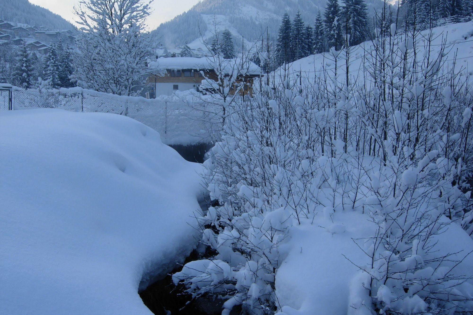 Au Bois De Lune Chatel Bagian luar foto