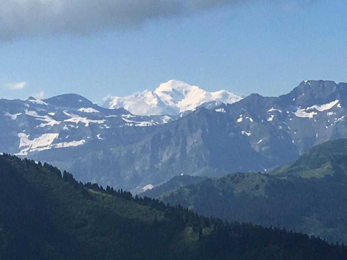 Au Bois De Lune Chatel Bagian luar foto